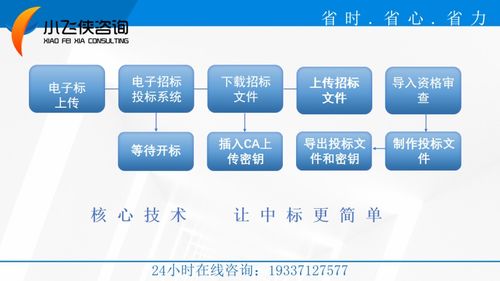 2021江西省,标书编写的公司,全程加密合作 小飞侠标书公司
